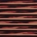 XVN0200