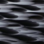 XWN0090