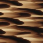 XWN0279