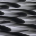 XWN0281