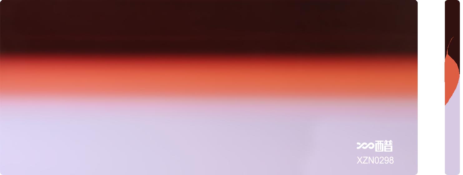 XZN0298