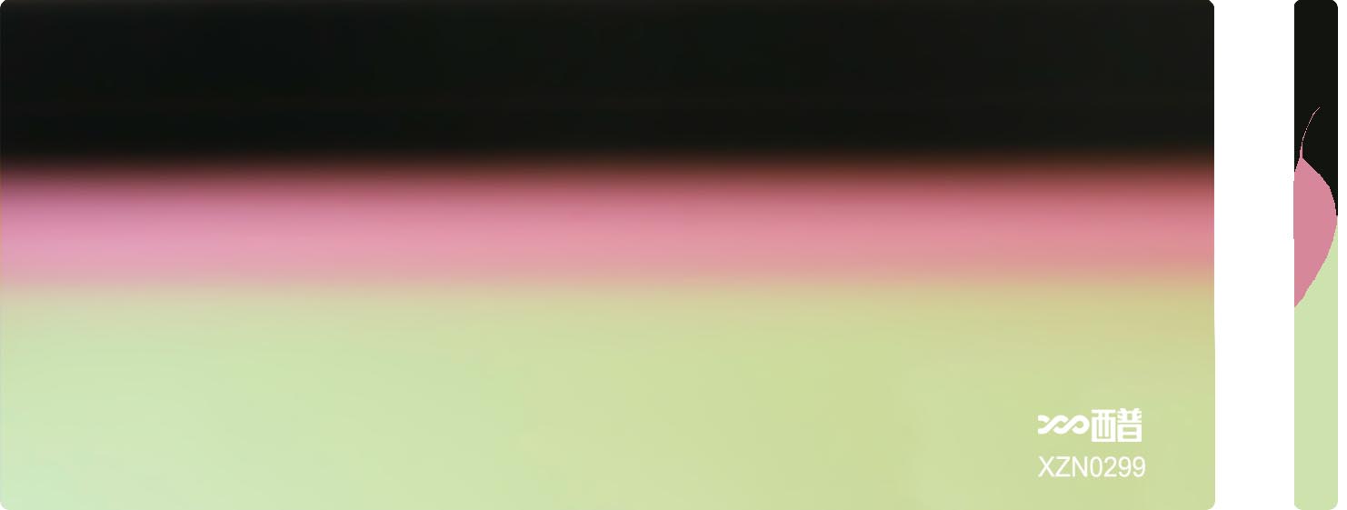 XZN0299
