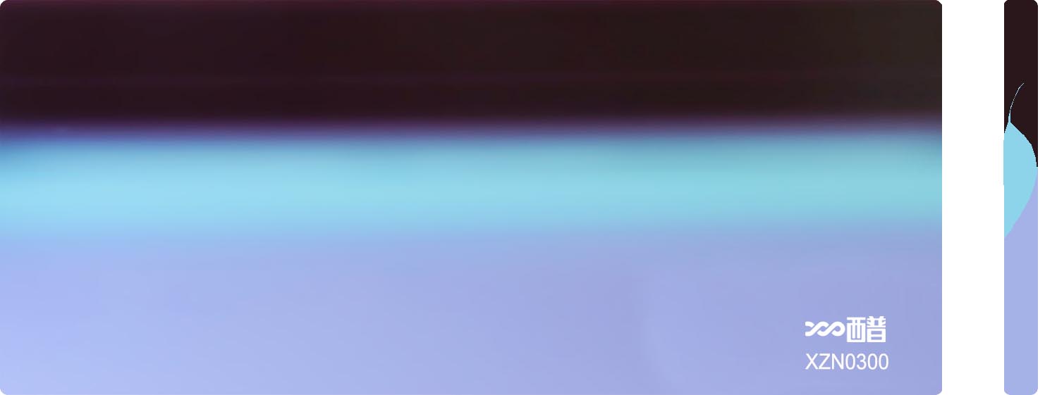 XZN0300