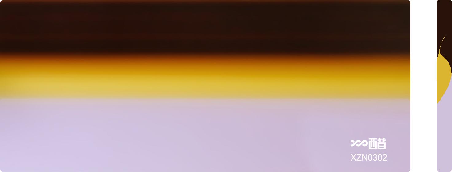 XZN0302